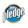 PLEDGE