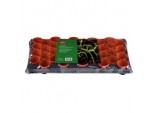Growing Tray - With 40 Round Pots