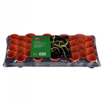 Growing Tray - 18 x 9cm Round Pots
