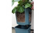 Potato Pot