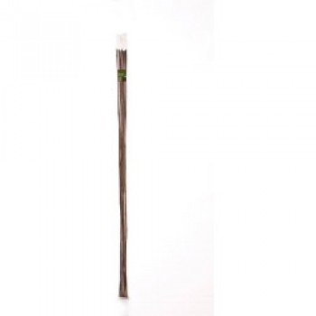 Bamboo Canes - 7&rsquo; Pack 10