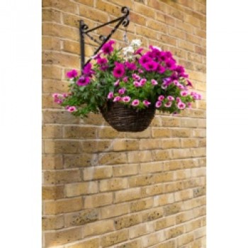 Willow Hanging Basket - 12