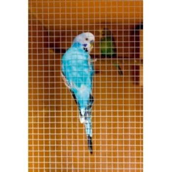 Cage & Aviary Welded Panel - 0.6 x 0.9m Mesh size: 25 x 25mm